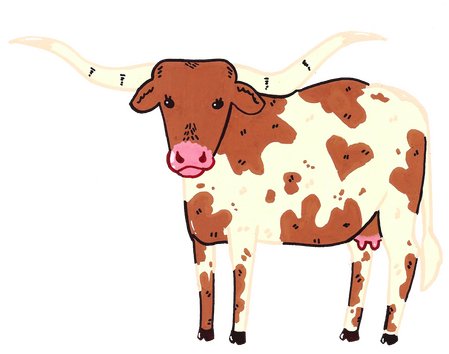 Longhorn cow, white with brown spots
